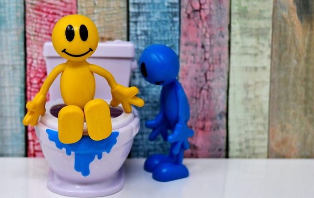 Hoe pas je het ontwerp van een toilet aan voor senioren?