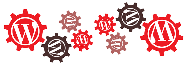 Waarom is mijn WordPress zo traag?